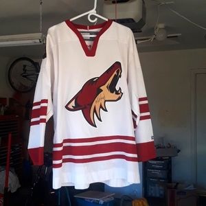 Autographed AZ Coyotes Jersey